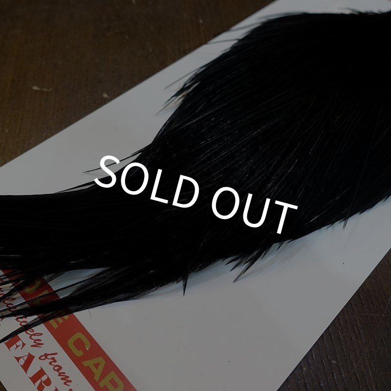 画像5: 【Whiting】ROOSTER CAPE Pro Grade - DYED BLACK No.2 (5)