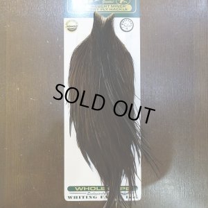 画像1: 【WHITING】Hebert Silver Grade Cape - DARK BROWN DUN No.2