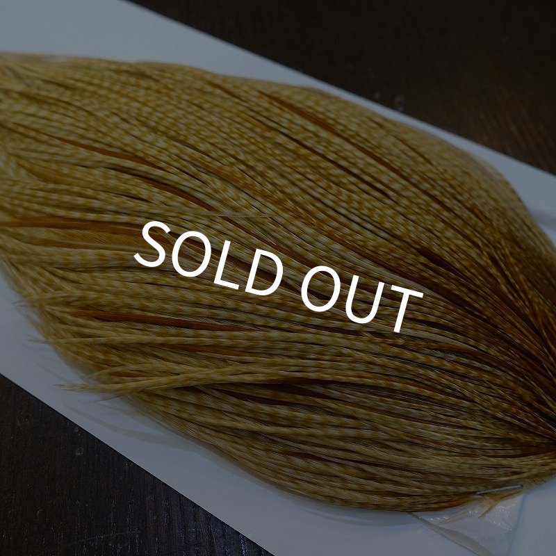 画像4: 【WHITING】High & Dry ROOSTER Cape - Barred Medium Ginger No.1 (4)