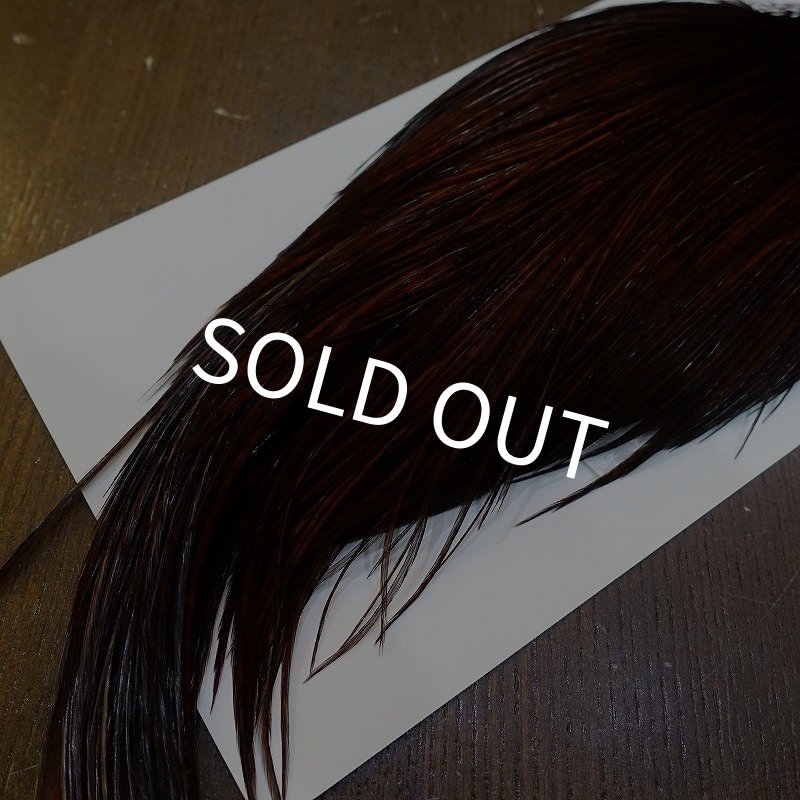 画像5: 【WHITING】High & Dry ROOSTER Cape - Dyed Coachman Brown No.1 (5)