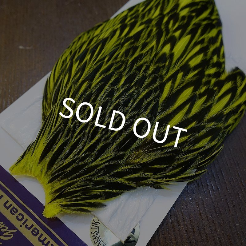 画像2: 【WHITING】American Hen Cape BLW/FL YELLOW CHART (2)