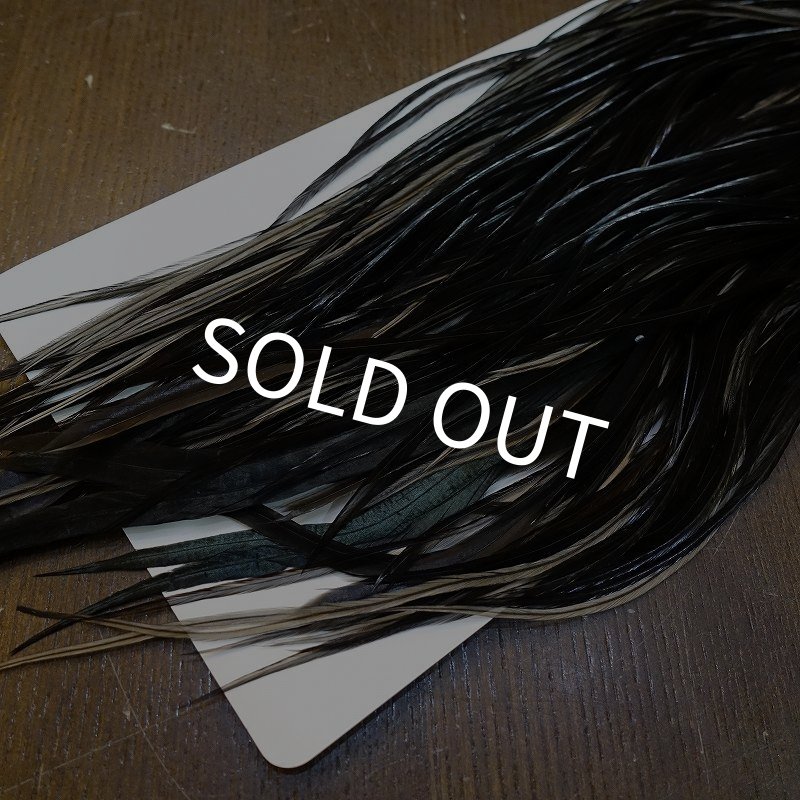 画像5: 【WHITING】Hebert ROOSTER SADDLE PRO Grade - NA Black  #14 No.1 (5)