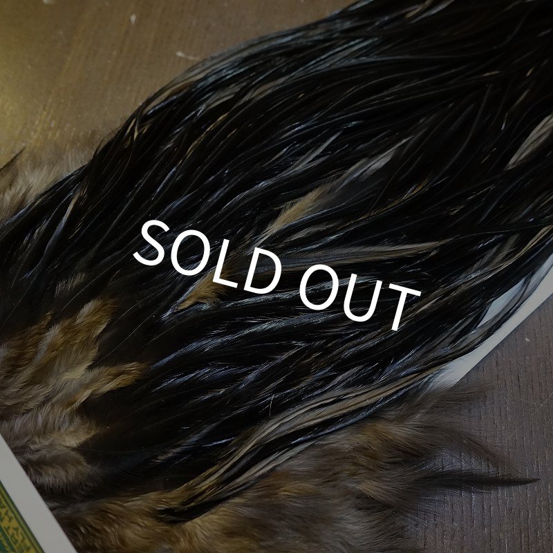 画像3: 【WHITING】Hebert ROOSTER SADDLE PRO Grade - NA Black  #14 No.1 (3)