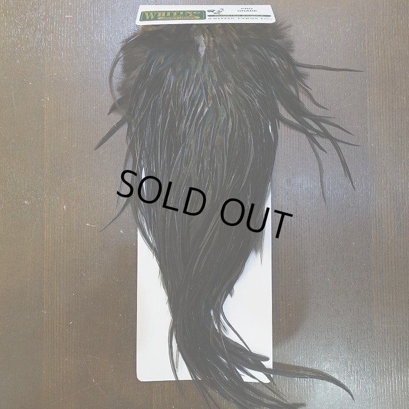 画像1: 【WHITING】Hebert ROOSTER SADDLE PRO Grade - NA Black  #14 No.2 (1)