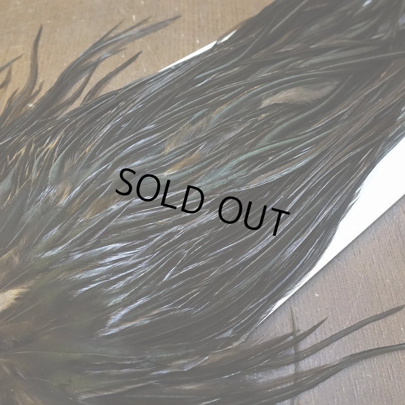 画像3: 【WHITING】Hebert ROOSTER SADDLE PRO Grade - NA Black  #14 No.2 (3)