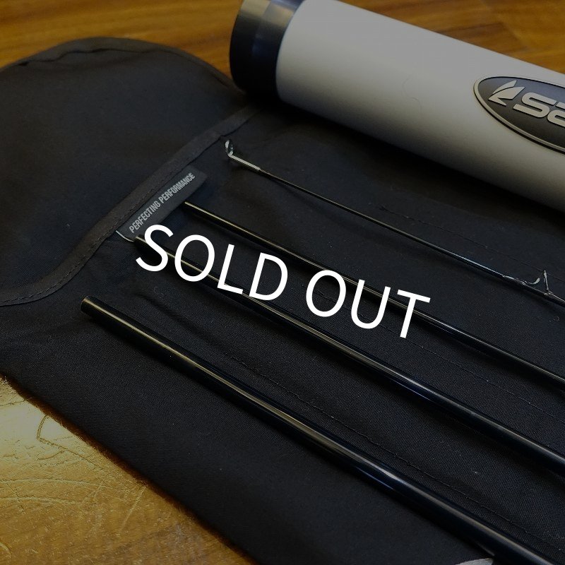 画像5: 【SAGE】SALT R8 890-4 (5)