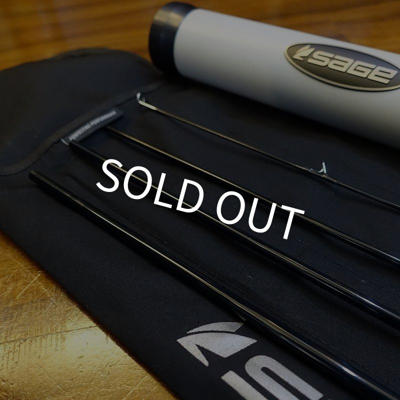 画像8: 【SAGE】SALT R8 890-4 (8)