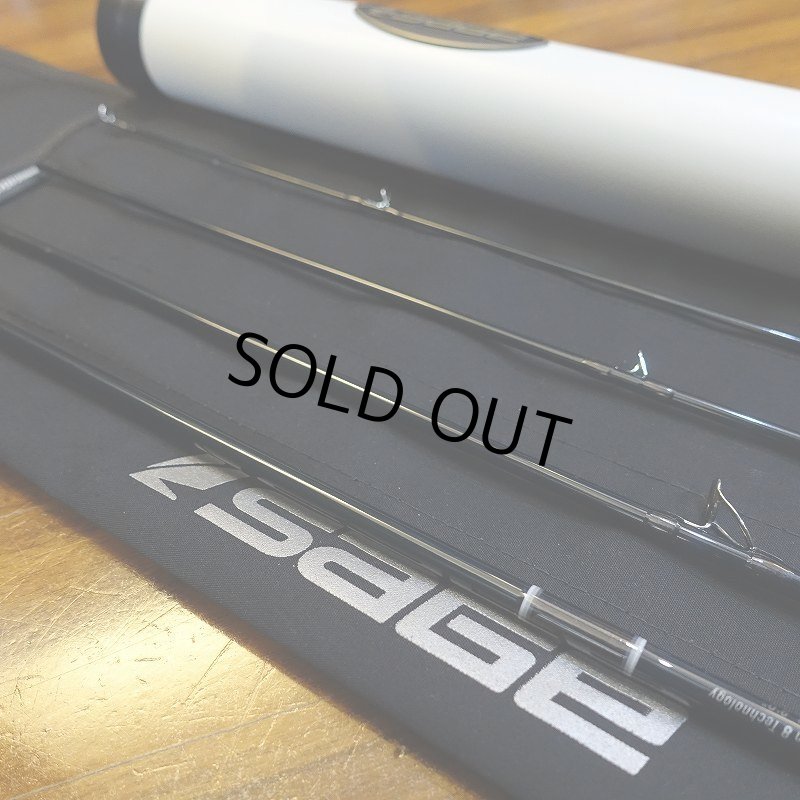 画像8: 【SAGE】SALT R8 690-4 (8)