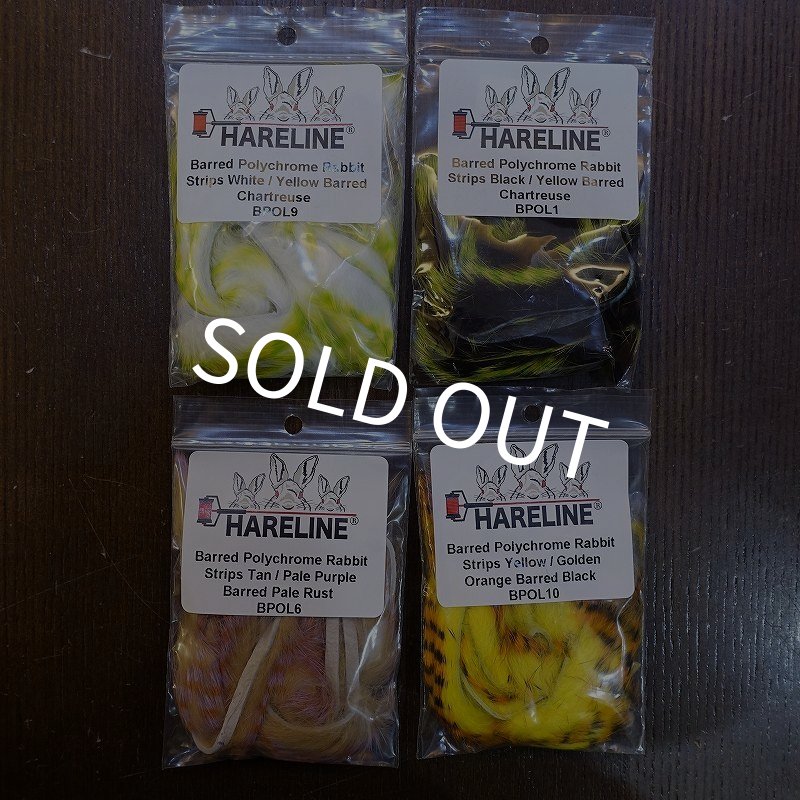 画像1: 【HARELINE】Barred Polychrome Rabbit Strips (1)