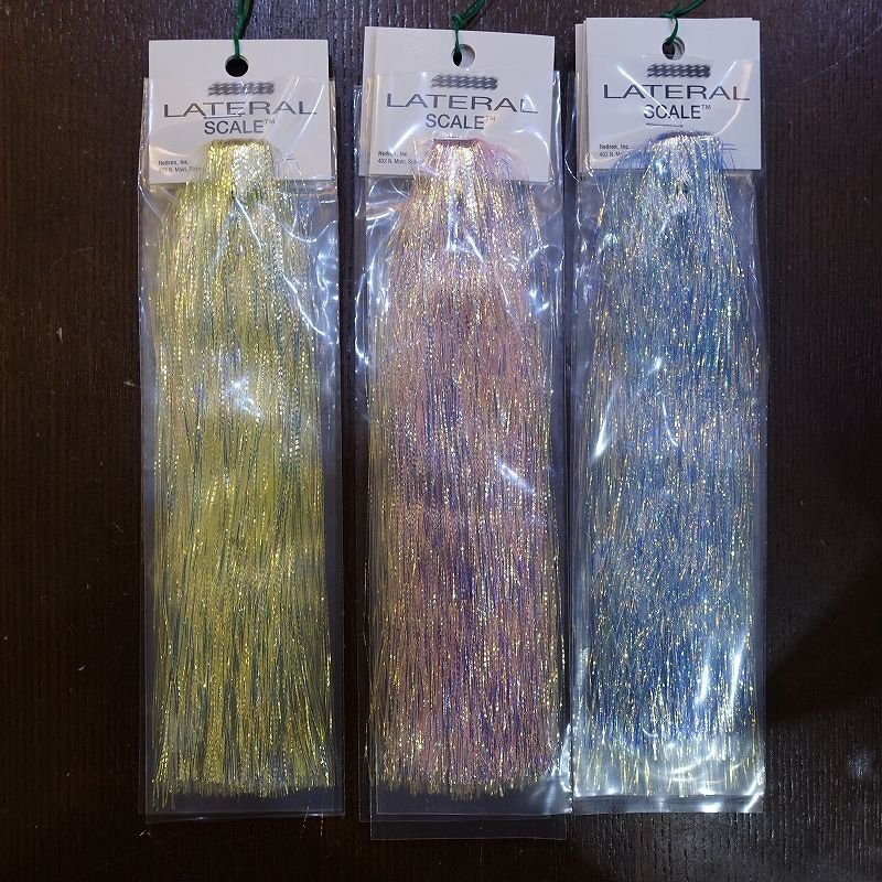 画像1: 【Hedron】 LATERAL SCALE 1/69