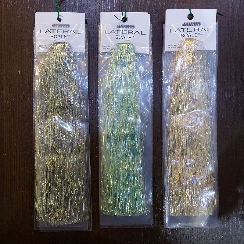 画像2: 【Hedron】 LATERAL SCALE 1/69