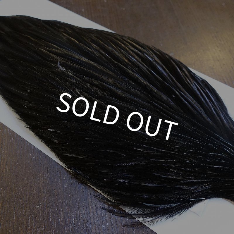 画像4: 【WHITING】American Rooster Cape - BLACK (4)