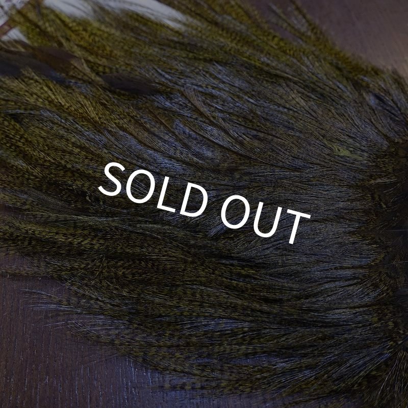 画像4: 【WHITING】Coq de Leon Saddle Bronze Grade - DYED BADGER/OLIVE (4)