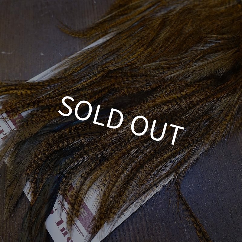 画像5: 【WHITING】Coq de Leon Saddle Bronze Grade - DYED BADGER/MEDIUM GINGER (5)