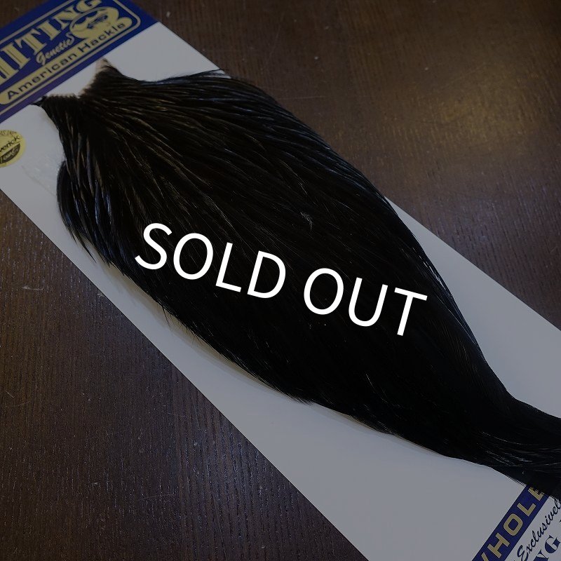 画像2: 【WHITING】American Rooster Cape - BLACK (2)