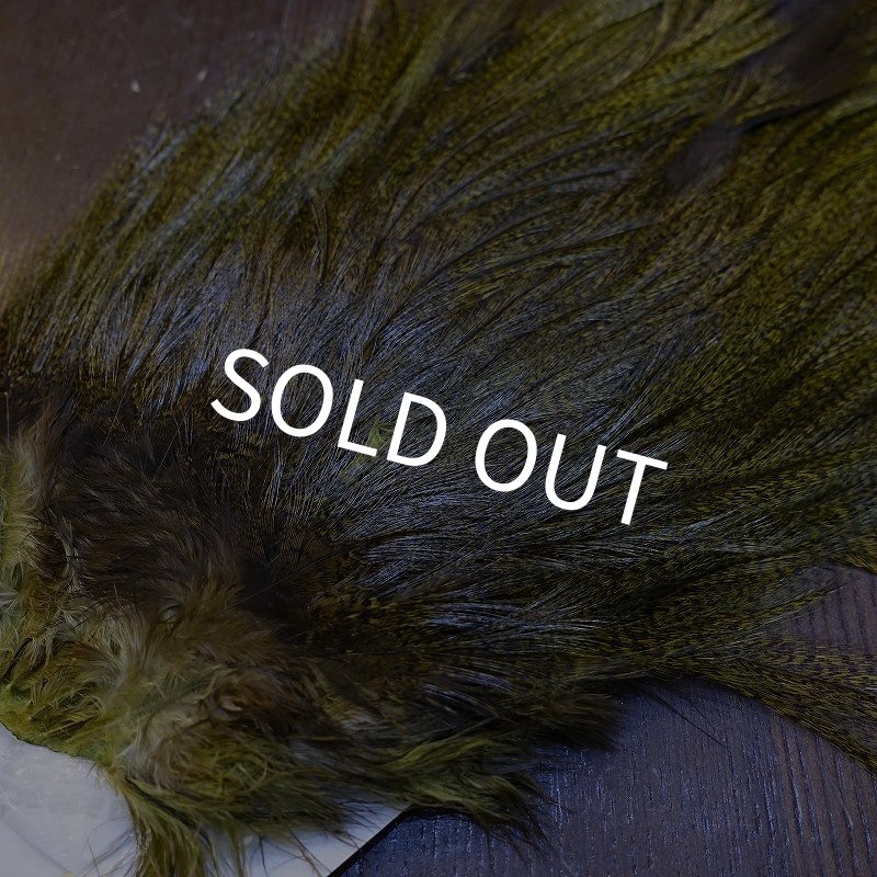 画像3: 【WHITING】Coq de Leon Saddle Bronze Grade - DYED BADGER/OLIVE (3)