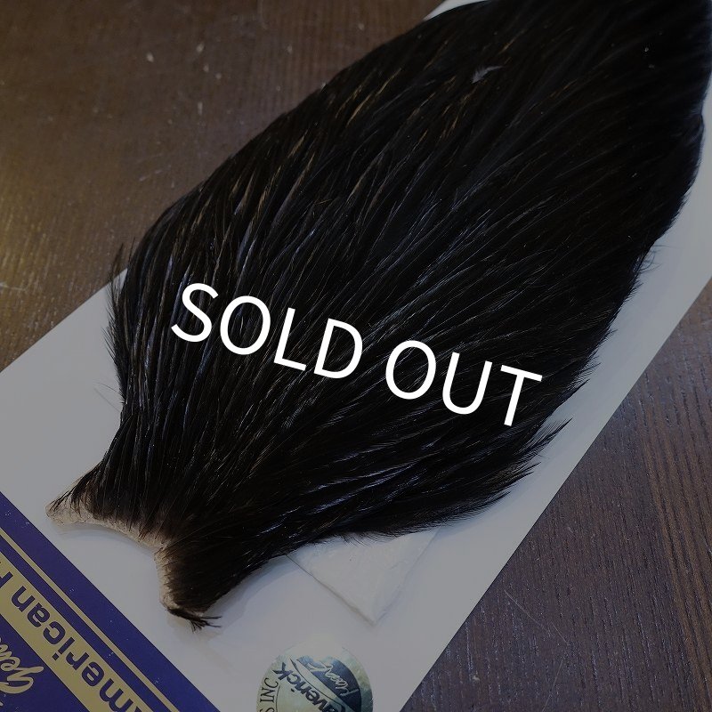 画像3: 【WHITING】American Rooster Cape - BLACK (3)