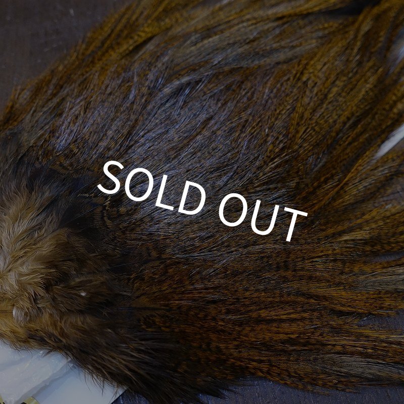 画像3: 【WHITING】Coq de Leon Saddle Bronze Grade - DYED BADGER/MEDIUM GINGER (3)