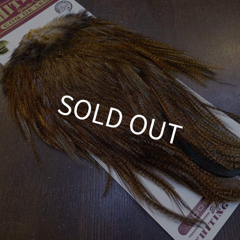 画像2: 【WHITING】Coq de Leon Saddle Bronze Grade - DYED BADGER/MEDIUM GINGER (2)