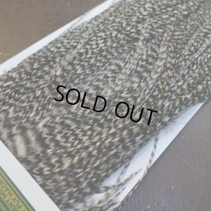 画像3: 【WHITING】Hebert Pro Grade Rooster Saddle - Grizzly #14 No.3