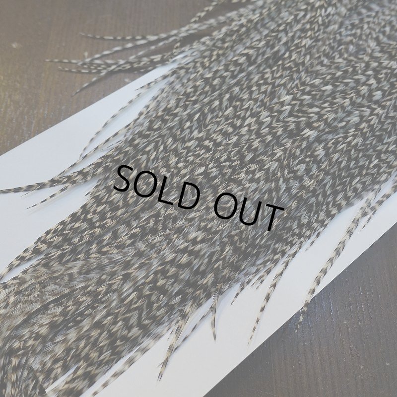 画像5: 【WHITING】Hebert Pro Grade Rooster Saddle - Grizzly #14 No.3 (5)