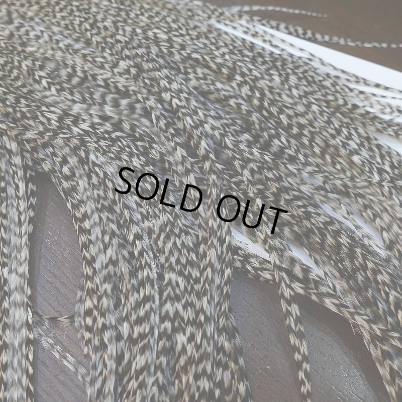 画像6: 【WHITING】Hebert Pro Grade Rooster Saddle - Grizzly #14 No.3 (6)