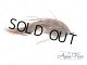 【Aqua Flies】 Jerry's WMD Sculpin