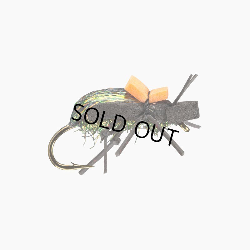 画像1: 【RIO】Ground Beetle ビートル(完成品フライ) (1)