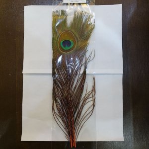 画像1: 【CANAL】PEACOCK EYE - Orange