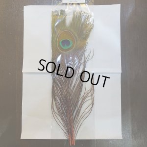 画像1: 【CANAL】PEACOCK EYE - Orange