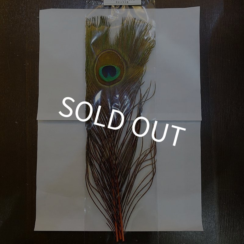 画像1: 【CANAL】PEACOCK EYE - Orange (1)