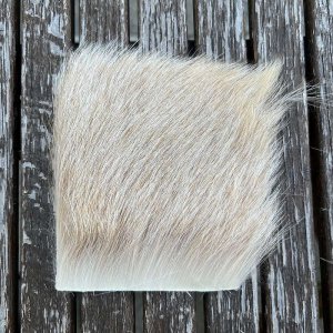 画像1: BRITISH KID GOAT HAIR(10x10cm)