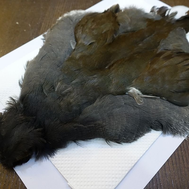 画像3: 【CANAL】MOORHEN コンプリート No.1 (3)