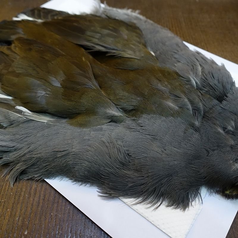 画像4: 【CANAL】MOORHEN コンプリート No.2 (4)