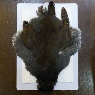 パープルスワンヘン・コンプリート No.1