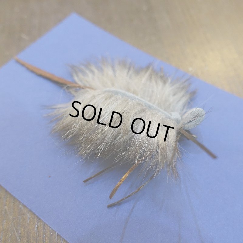 画像4: 【SUGISAKA】ドライマウス (4)