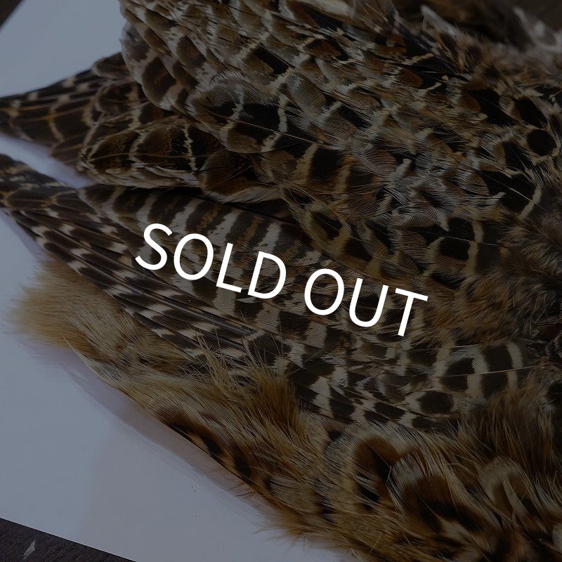 画像5: 【ANGLE】HEN PHEASANT BODY SKIN (5)