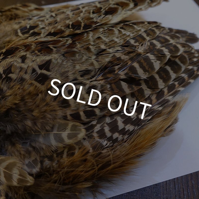 画像6: 【ANGLE】HEN PHEASANT BODY SKIN (6)