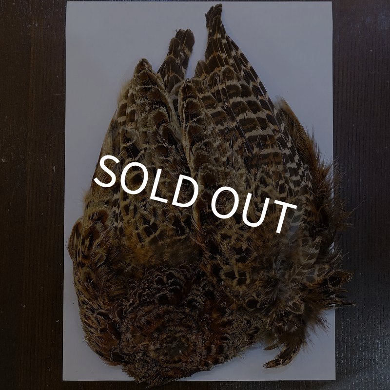 画像1: 【ANGLE】HEN PHEASANT BODY SKIN (1)