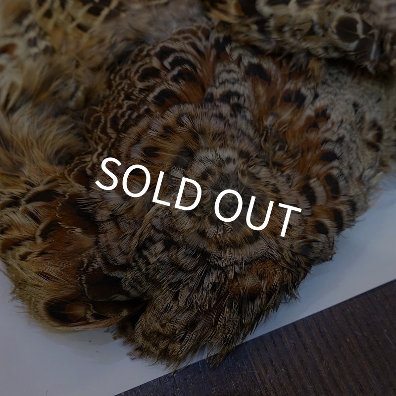 画像2: 【ANGLE】HEN PHEASANT BODY SKIN (2)