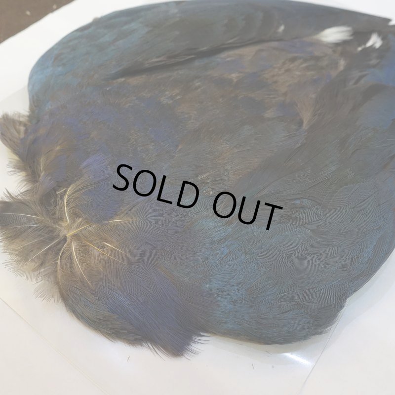 画像2: パープルスワンヘン・コンプリート No.2 (2)