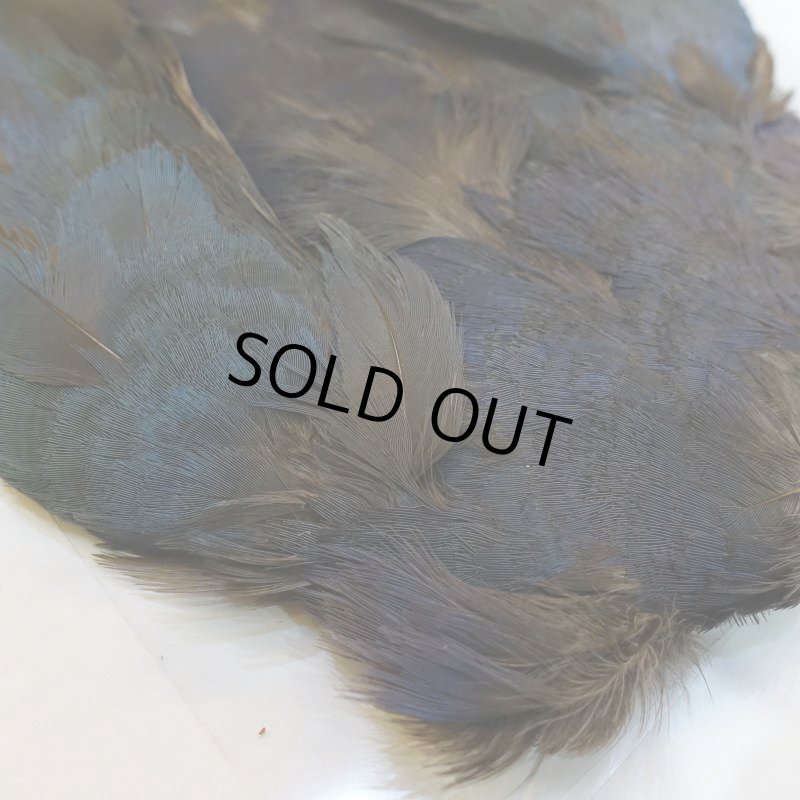 画像3: パープルスワンヘン・コンプリート No.1 (3)