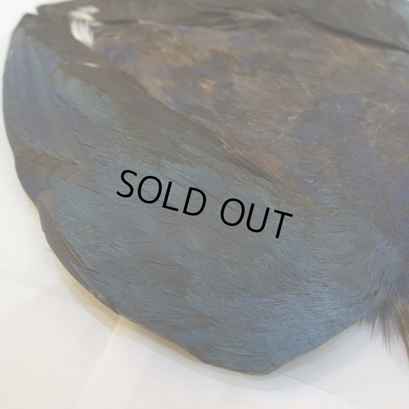 画像4: パープルスワンヘン・コンプリート No.2 (4)