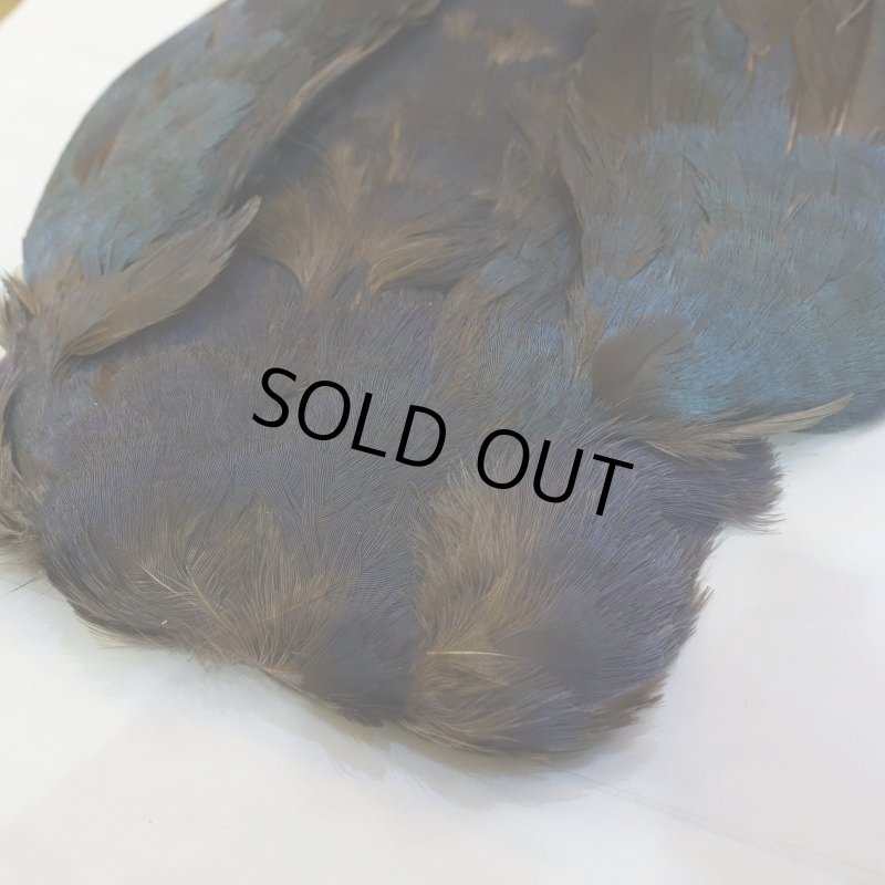 画像2: パープルスワンヘン・コンプリート No.1 (2)