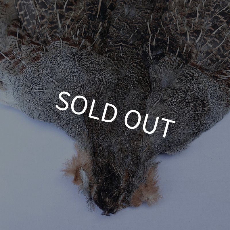 画像2: 【METZ】ハンガリアンパートリッジ #1 No.1 (2)