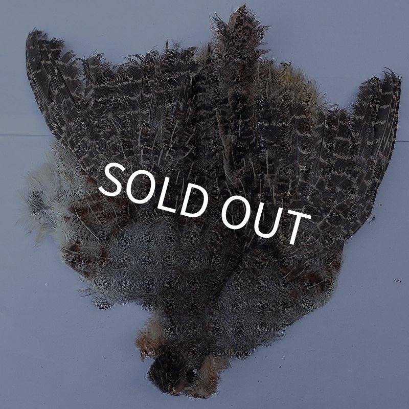 画像1: 【METZ】ハンガリアンパートリッジ #2 No.3 (1)