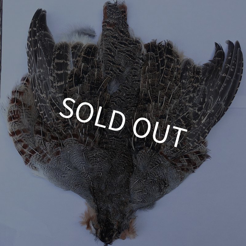 画像1: 【METZ】ハンガリアンパートリッジ #1 No.1 (1)