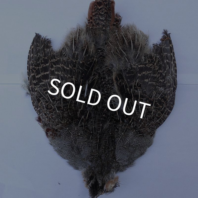 画像1: 【METZ】ハンガリアンパートリッジ #2 No.1 (1)