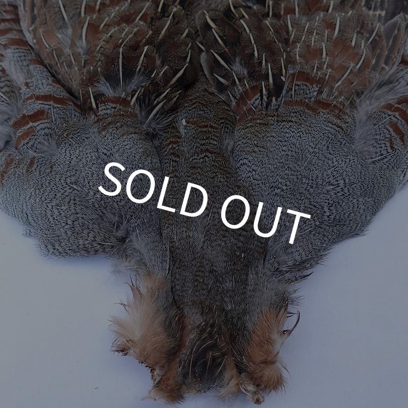 画像2: 【METZ】ハンガリアンパートリッジ #1 No.3 (2)