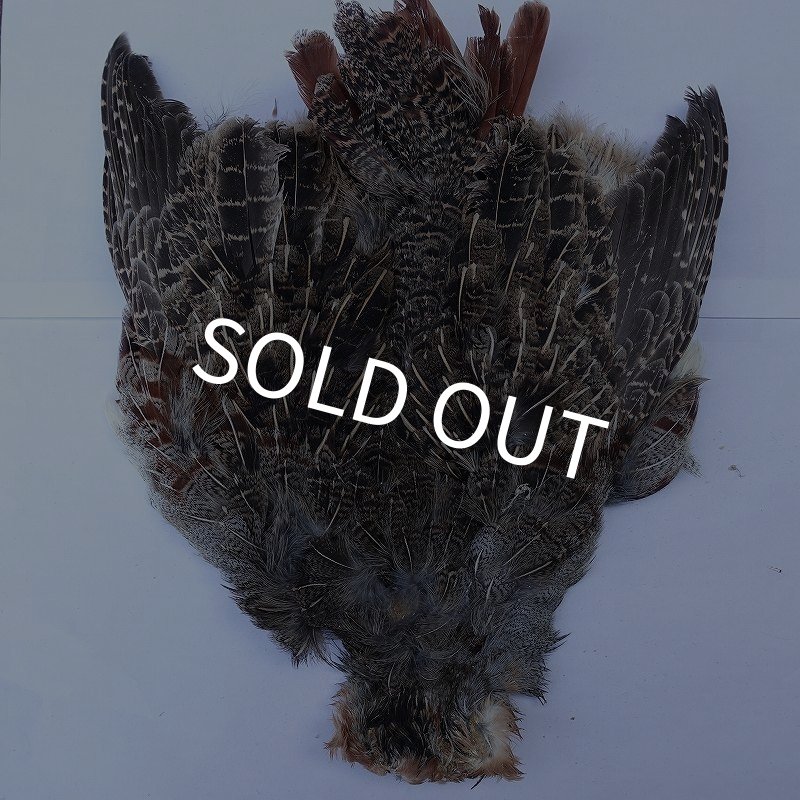 画像1: 【METZ】ハンガリアンパートリッジ #2 No.2 (1)